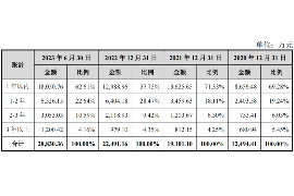 达坂城讨债公司